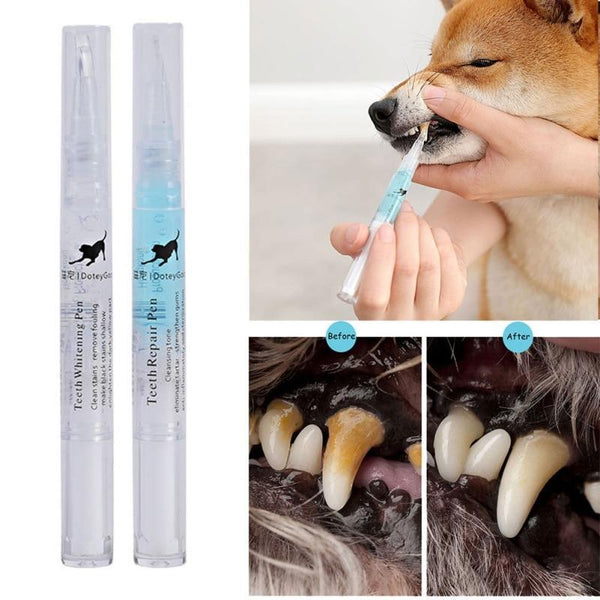 Caneta Limpadora de Dentes para Pets